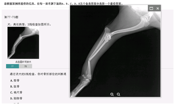 計算機考試操作題_計算機操作題考試題庫和答案_計算機考試的操作題