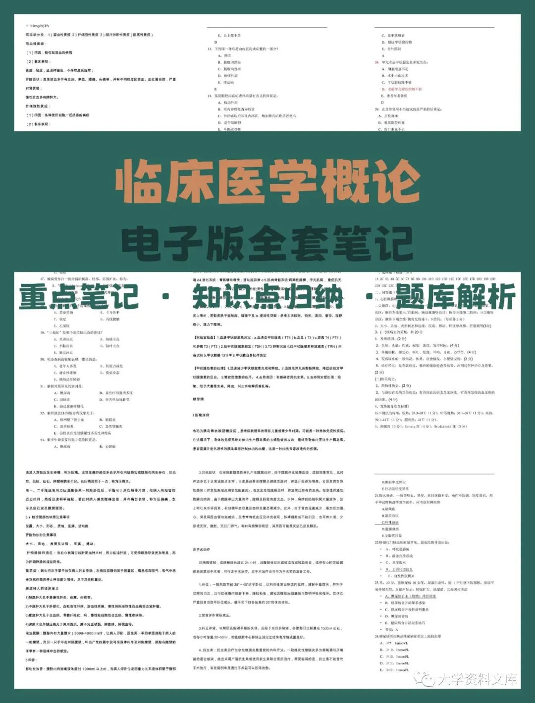 專業課 《臨床醫學概論》 考試題目題庫及答案＋重點知識梳理總結＋名詞解釋＋臨床醫