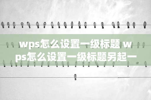 wps怎么設(shè)置一級標(biāo)題 wps怎么設(shè)置一級標(biāo)題